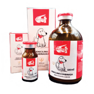 penicilina combinada antibiÓtico (cont. net. 100 ml.)