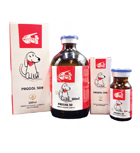 prodol 50 analgÉsico y desinflamatorio prodol 50 analgÉsico y desinflamatorio